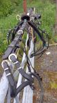 Harness
