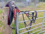 Giddens of London Harness