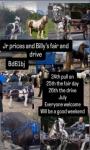 Horse Fair & Drive