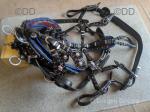Harness by George Parker & Sons