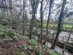 Woodland for Auction, Somerset