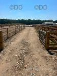Yard, Tadley Reading 