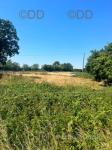 6 Acres, Lambourn