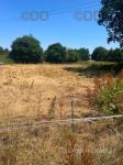6 Acres, Lambourn