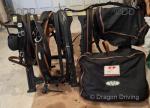 WebZ Pairs Harness