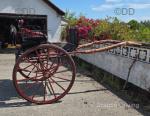 Cart