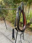 Harness