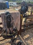 Zilco Harness 