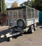 2025 Ifor Williams Trailer