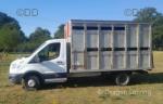 Ford Transit Horsebox