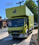 2008 LF45 Horsebox