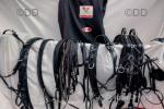 Zilco Harness 