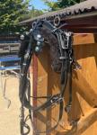 Top Mark Harness
