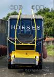 2010 Ford Transit Horsebox