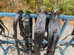Pairs Harness