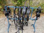 Pairs Harness