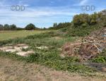 Land for Sale, Norfolk