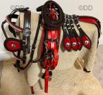 Harness