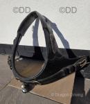 Harness