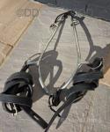 Harness