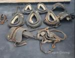 Collars & Harness