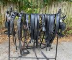 Huskisson Pairs Harness
