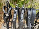 Huskisson Pairs Harness