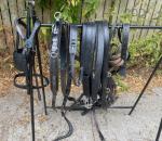 Huskisson Pairs Harness