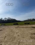 Land for Sale, Somerset