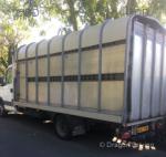 2013 Iveco Horsebox