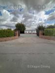 Yard, Headcorn Kent