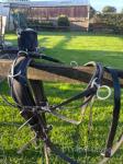 RS Pairs Harness