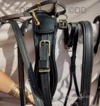 Harness