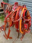 Huskisson Harness