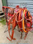 Huskisson Harness