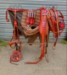 Huskisson Harness