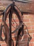 Harness