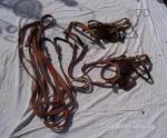 Harness