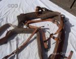 Harness