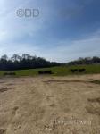 11 Acres, Chard Somerset