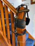 Harness