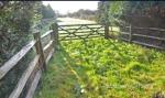 Building Plot, Tunbridge Wells