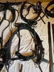 Zilco Pairs Harness
