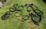 Pairs Harness