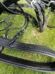 Pairs Harness