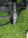 Pairs Harness