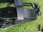 Pairs Harness