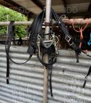 Zilco Tedex Harness 