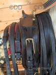 Harness