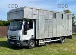 Iveco Horsebox